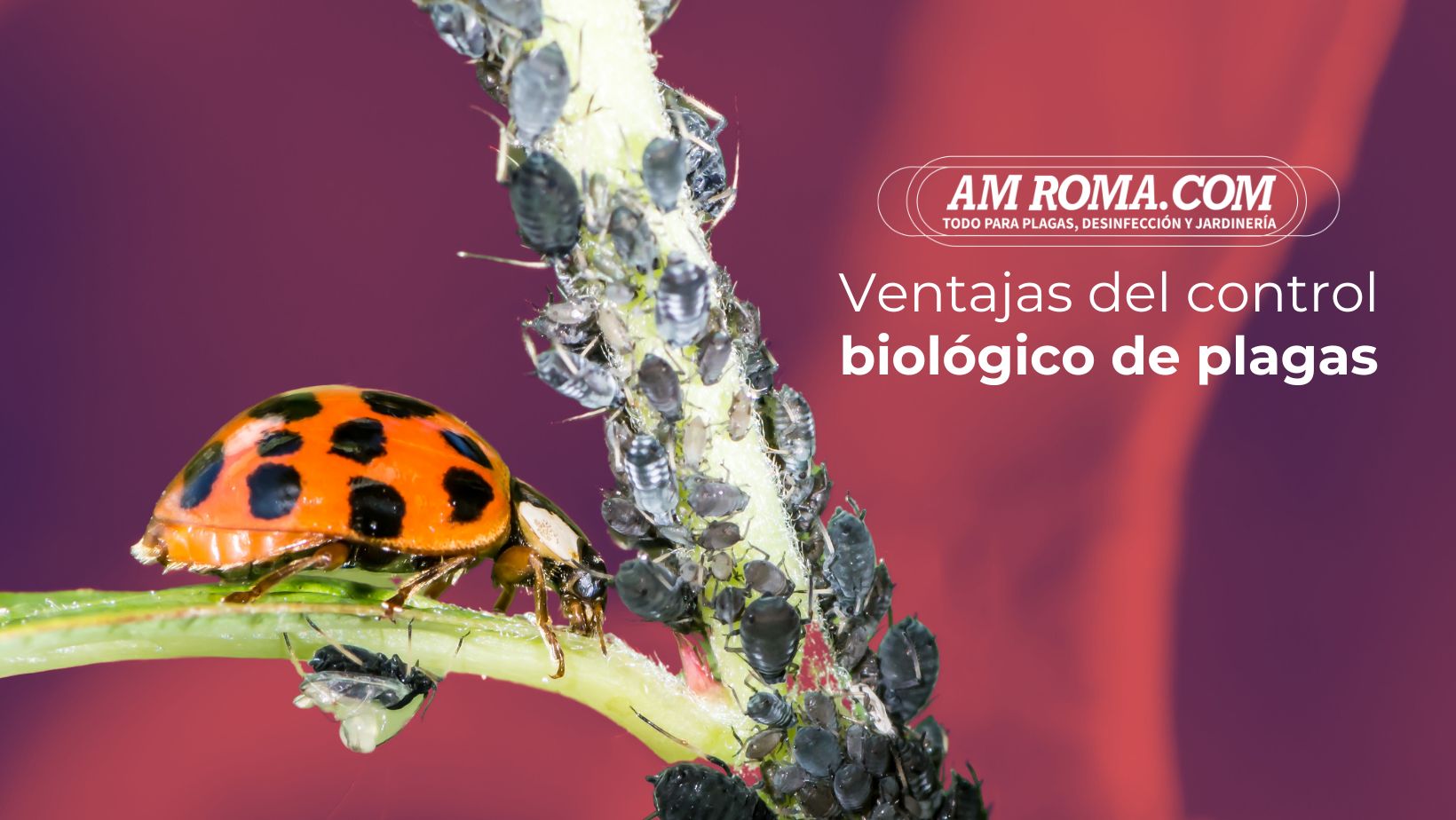 VENTAJAS DEL CONTROL BIOLÓGICO DE PLAGAS | AM ROMA